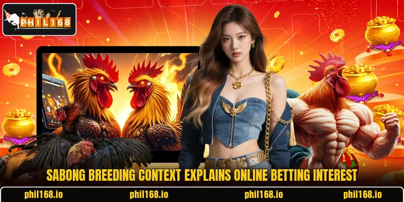 Sabong Breeding context explains online betting interest